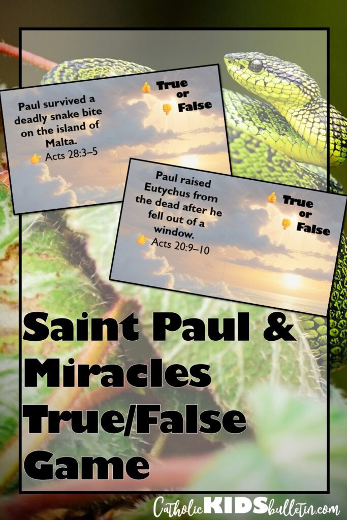 Saint Paul Activities are more fun and meaningful with this interactive New Testament Game! Celebrate the conversion of Saint Paul and explore the amazing stories of the early Church with this engaging Miracles Game. Students will love learning about the miracles of Peter, Paul, and the apostles through true/false questions that spark discussion and deepen understanding. Perfect for classrooms, youth groups, or faith formation, this low-prep activity makes Bible learning exciting and memorable. Great for feast days, review lessons, or anytime you want to bring Scripture to life!